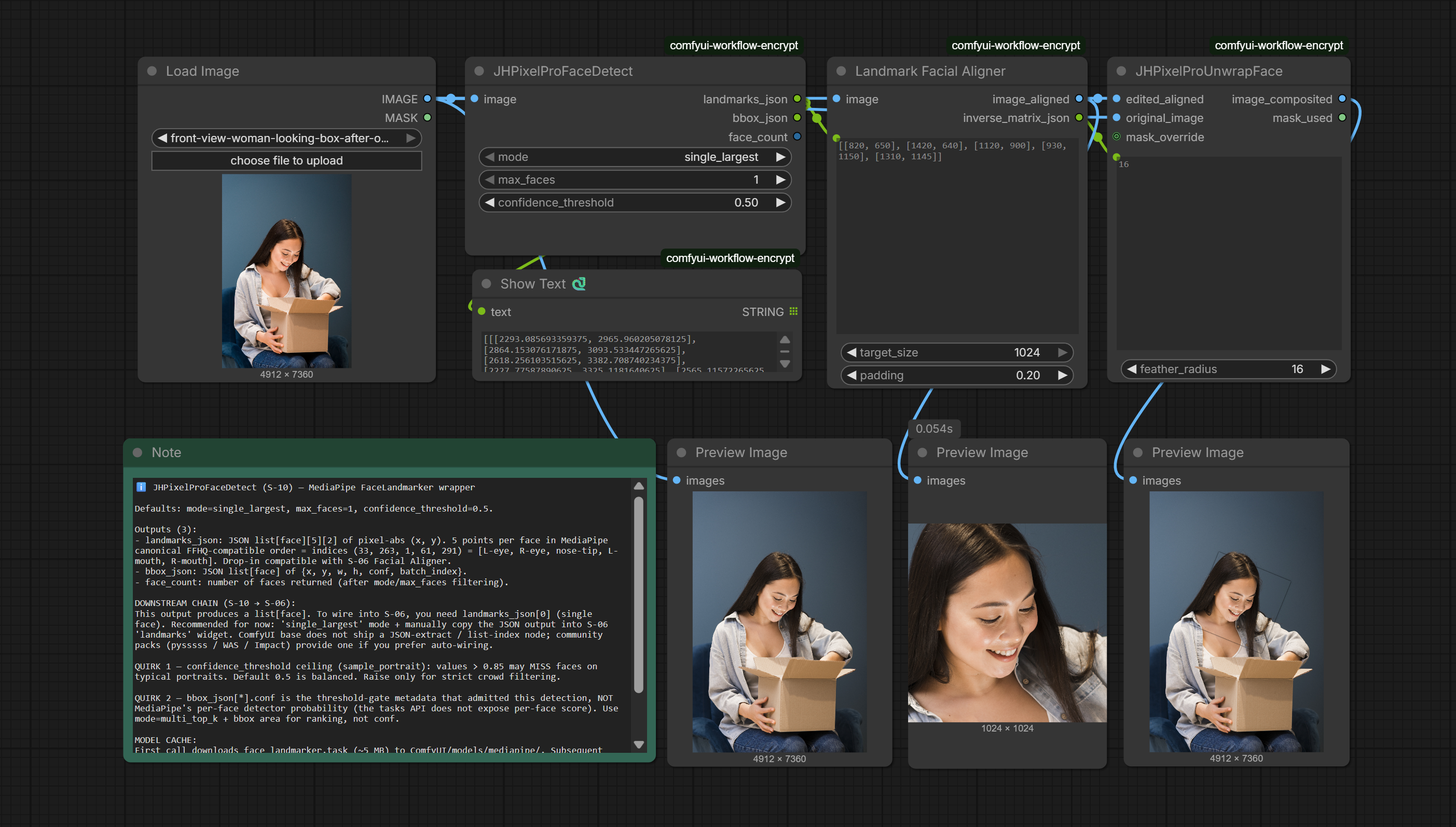 N-10 Face Detect workflow