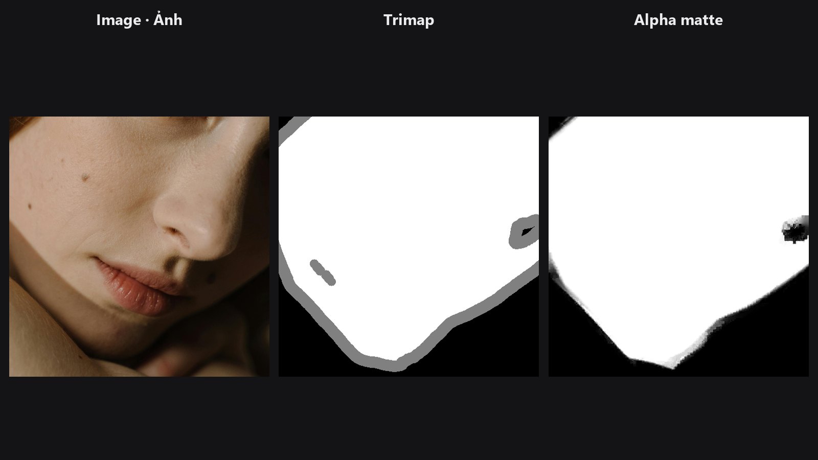 Alpha Matte — before / after