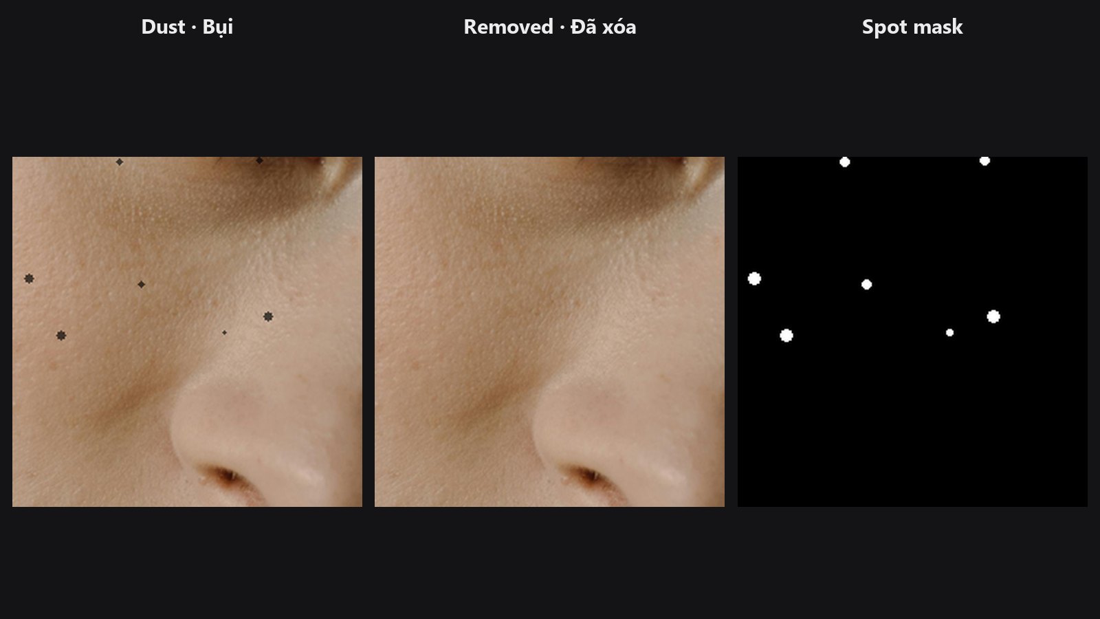 Dust & Spot Removal — before / after