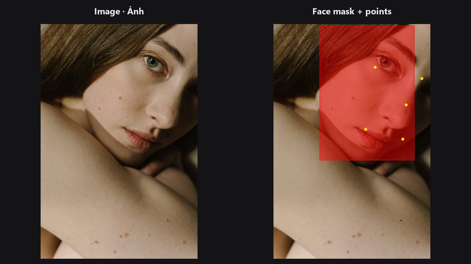Face Detect Lite — before / after