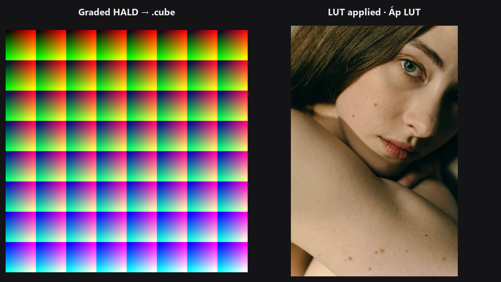 LUT Export — trước / sau